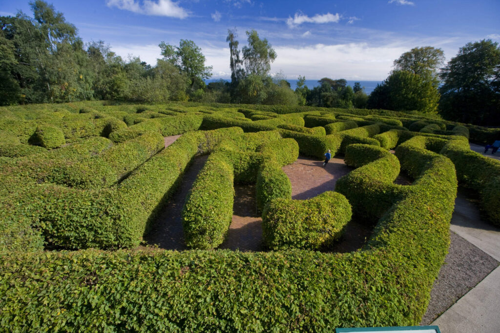 Maze at Carnfunnock Courty Park