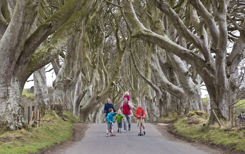 The Ferns family at The Dark Hedges