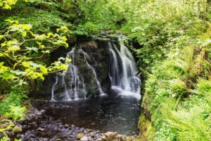 Glenariff Forest Park Ballymena