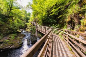 Glenariff Forest Park boardway