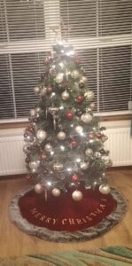 Christmas at The Ferns